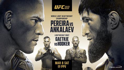 top picks for ufc tonight.